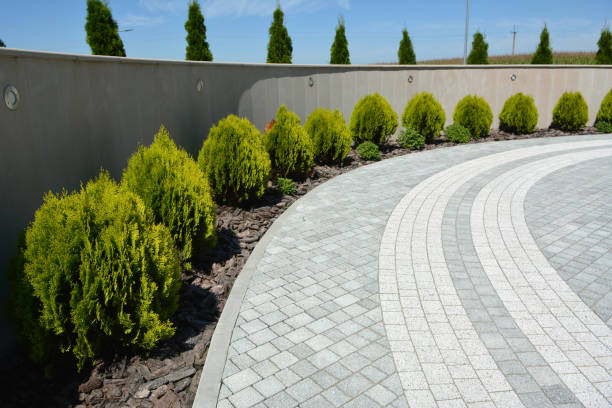 Best Local Driveway Pavers  in Alliae, NC